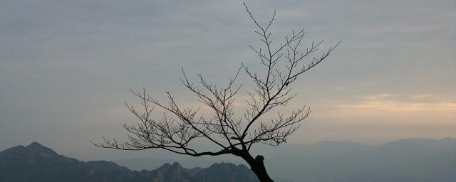 黄山在哪个省哪个市区