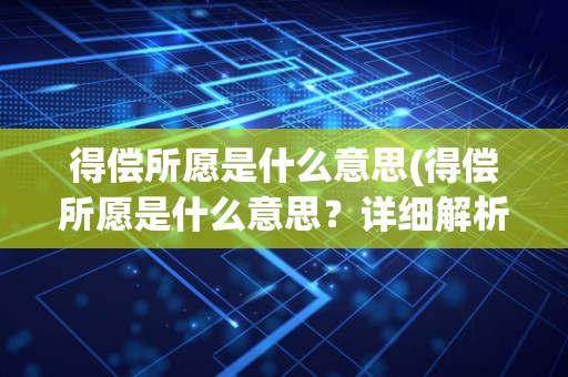 得偿所愿是什么意思