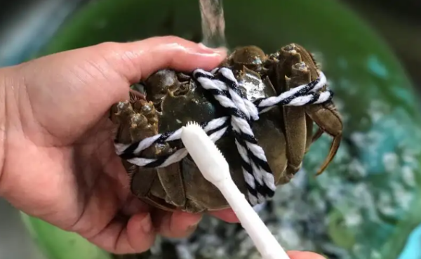 大闸蟹怎么洗才干净