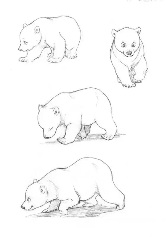 十种简笔画教程 简笔画教程一学就会