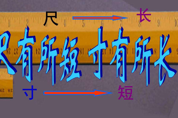 尺有所短寸有所长的意思