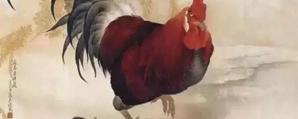 鸡年是哪几年?