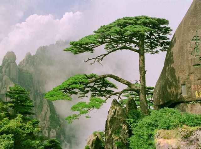 黄山在哪个省哪个市区