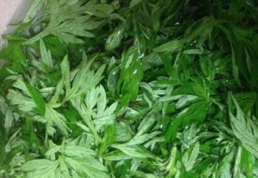 荨麻疹最简单自愈方法