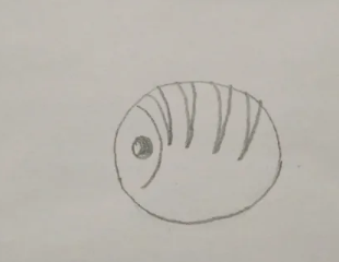 简笔画图片大全