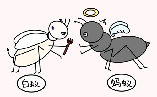 白蚁怎么消灭才干净