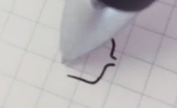 简笔画图片大全