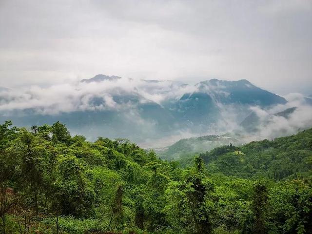 成都旅游必去十大景点推荐