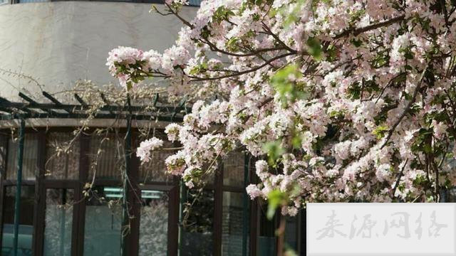 天津旅游必去十大景点