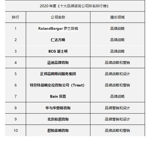 国内前十咨询公司