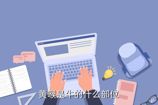 黄喉是牛的哪个部位