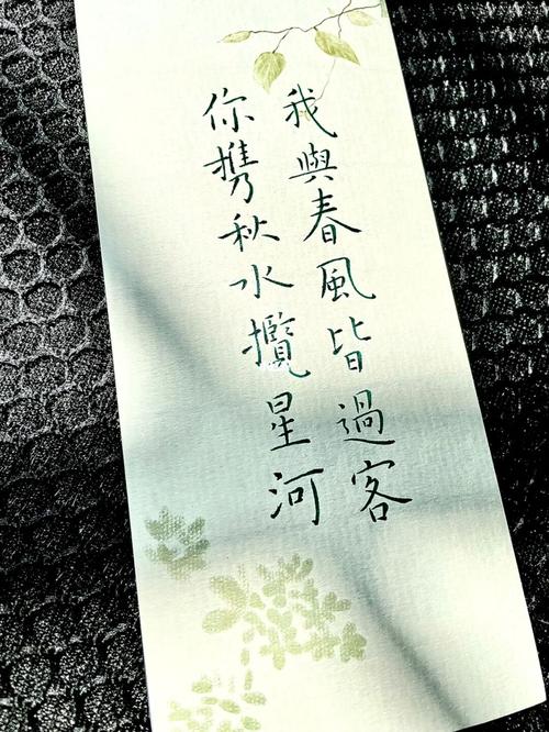 我与春风皆过客 你携秋水揽星河