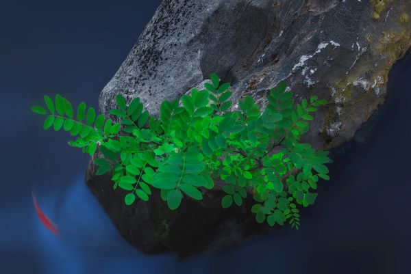 什么叫太岁