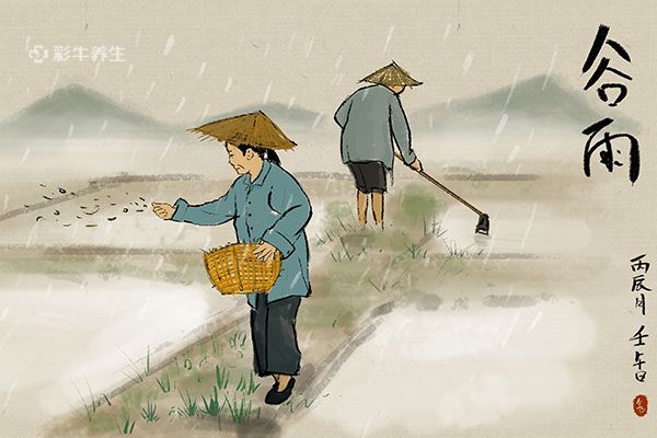 谷雨是哪天