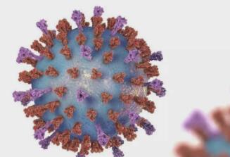 合胞病毒是什么病毒