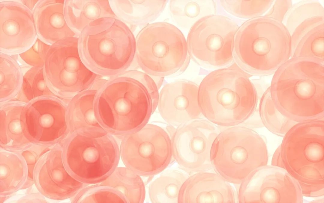 瞭望2024：乳腺癌治疗的四大新突破