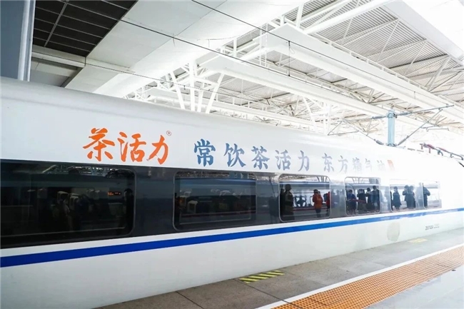 茶活力草本饮料：以军人基因铸就健康饮品新标杆，用责任担当书写品牌传奇