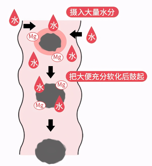 便秘反反复复不好？别慌！科学调理双管齐下，温和护肠更长效 