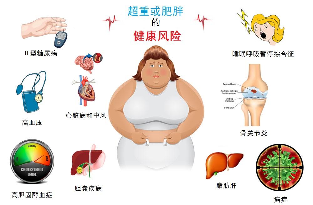 科学减重，你也可以拥有热辣滚烫的人生！