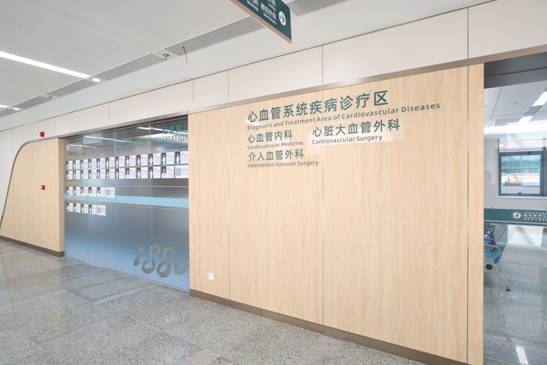 武汉市中心医院杨春湖院区正式开诊