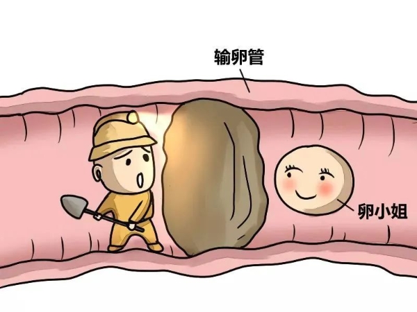 成都西南不孕不育二级医院打通输卵管顺畅之路，让您顺利抱娃