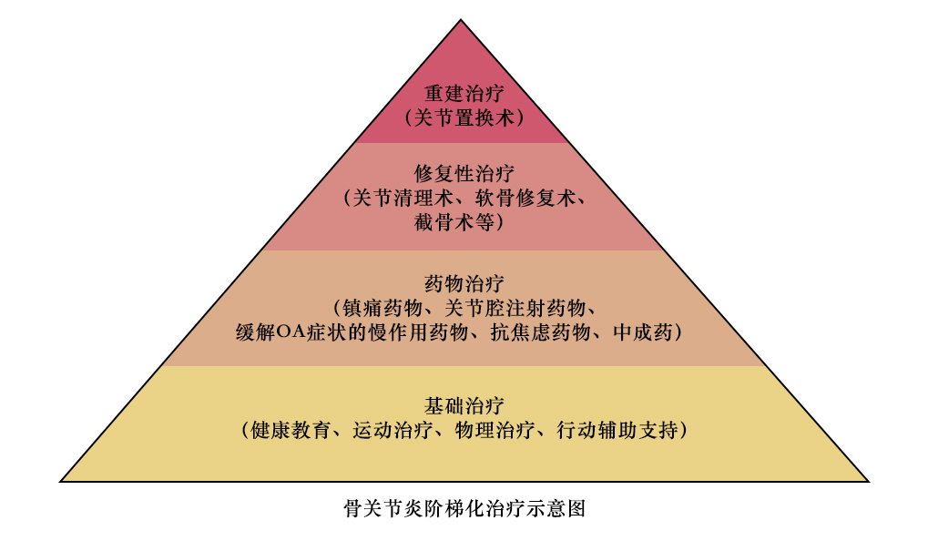 科学减重，你也可以拥有热辣滚烫的人生！