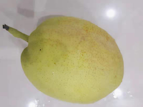 鳄梨怎么样 鳄梨一天吃多少个