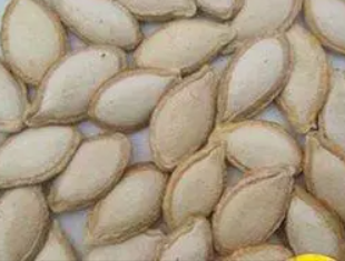 南瓜子的作用与功效