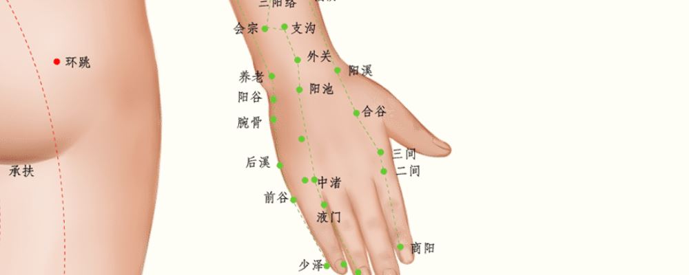 合谷的准确位置图片